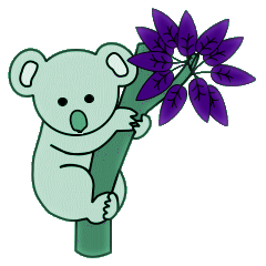 Koalas