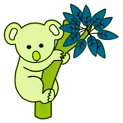 Koalas