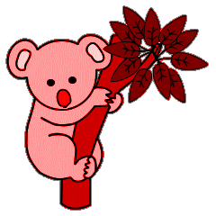 Koalas