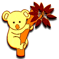 Koalas