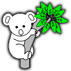 Koalas