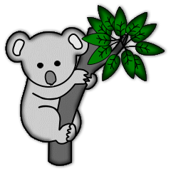 Koalas