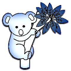 Koalas