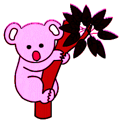 Koalas