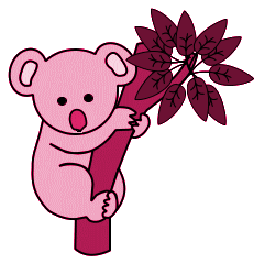 Koalas