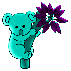 Koalas