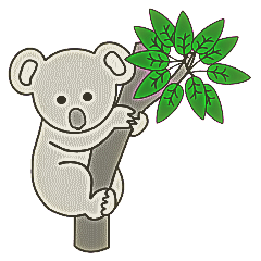 Koalas