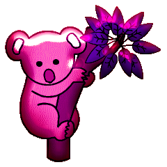 Koalas