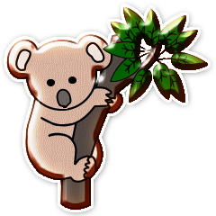 Koalas