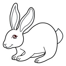 Lapins