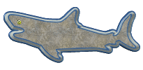 requins