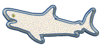requins