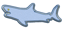 requins