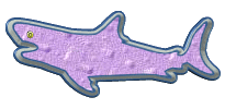 requins