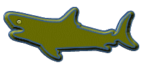 requins