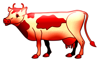 vaches