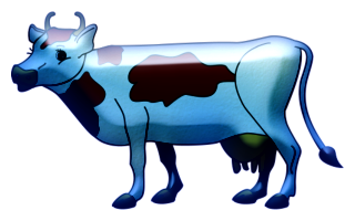 vaches