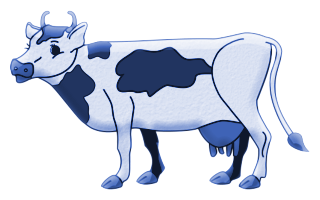 vaches