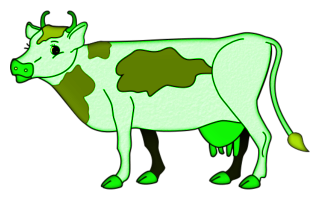 vaches