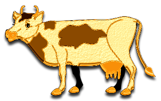 vaches