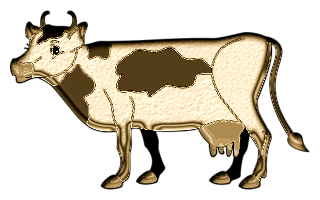 vaches