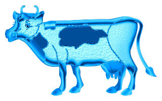 vaches