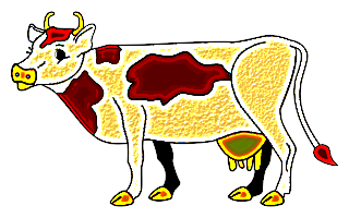 vaches