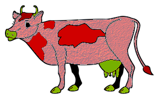 vaches