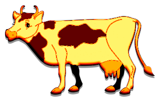vaches