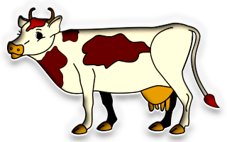 vaches