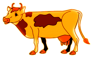 vaches